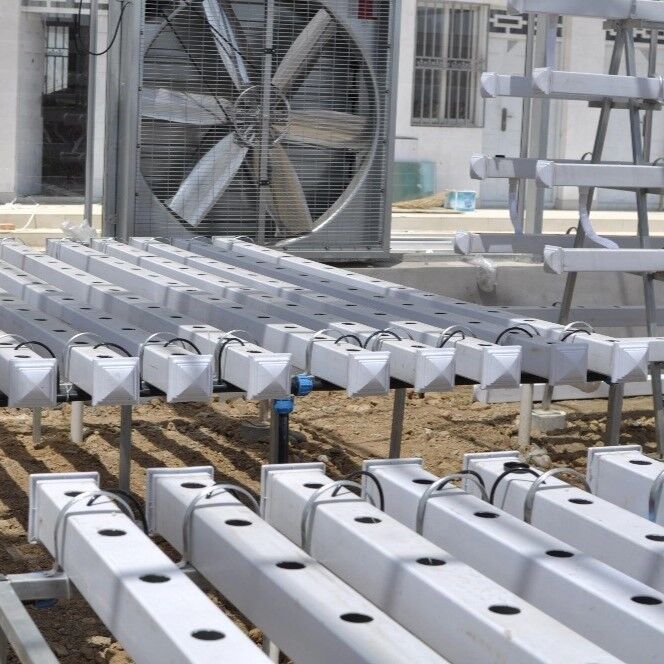 Système hydroponique de ruisseau en PVC NFT de qualité alimentaire avec inhibiteurs UV et dimensions personnalisables pour les serres commerciales