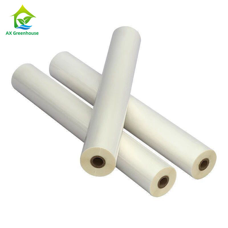 film de couverture de serre chaude du PE PO de 0.1-0.2mm poly de haute serre chaude en plastique de transmittance