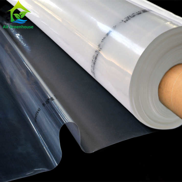film de couverture de serre chaude du PE PO de 0.1-0.2mm poly de haute serre chaude en plastique de transmittance