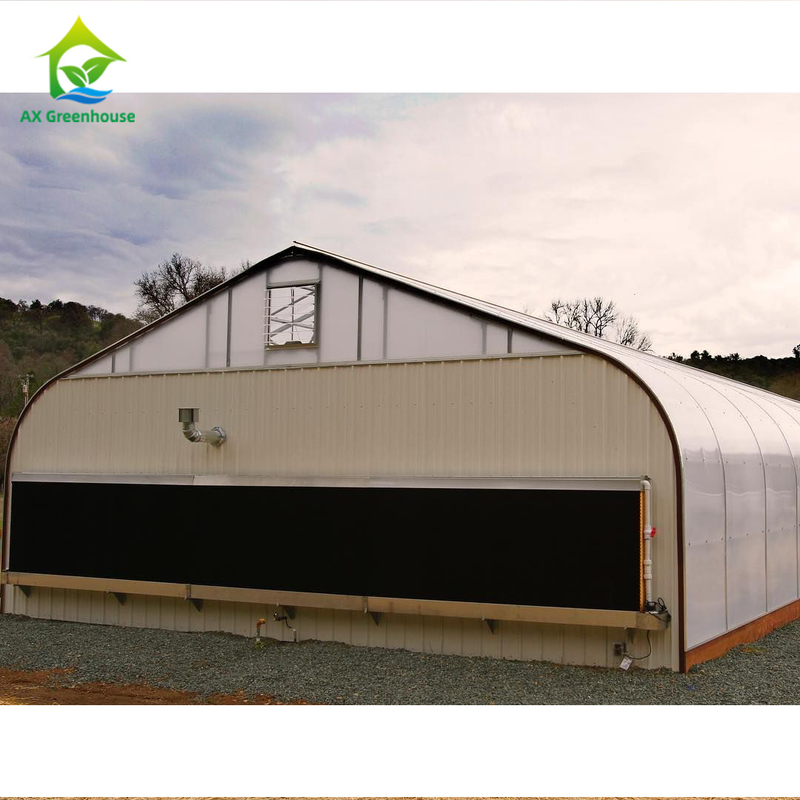 système de contrôle de climat de Dep Grow Tunnel Greenhouse With de lumière de taille de mur de 1,8-3M