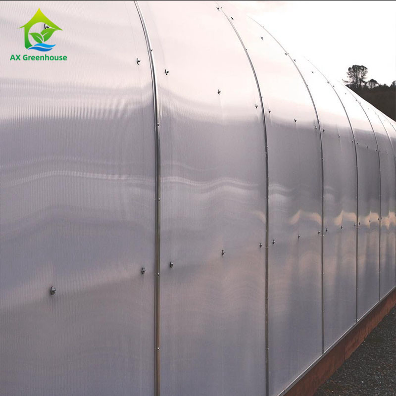 système de contrôle de climat de Dep Grow Tunnel Greenhouse With de lumière de taille de mur de 1,8-3M