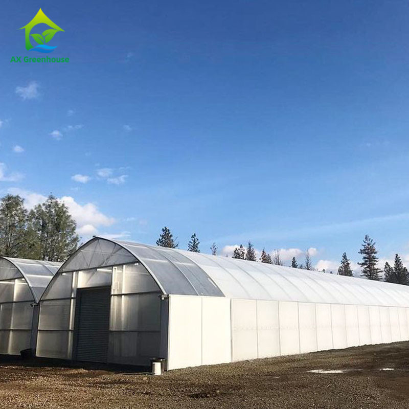 système de contrôle de climat de Dep Grow Tunnel Greenhouse With de lumière de taille de mur de 1,8-3M