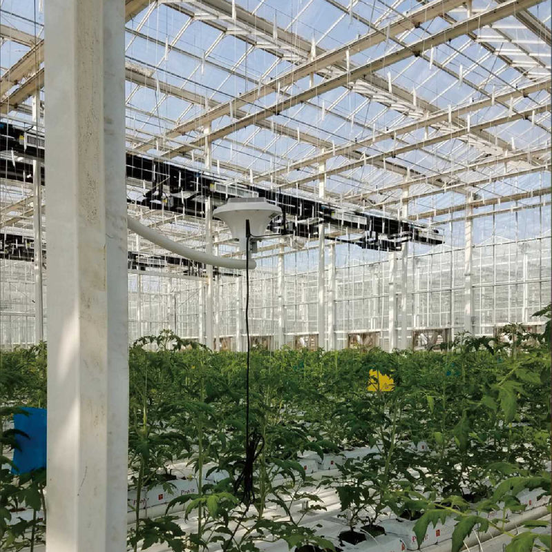 Système intelligent de surveillance de la serre avec puissance AC220V et compteur de concentration de CO2 de 0 à 50000 ppm pour un contrôle optimal du climat