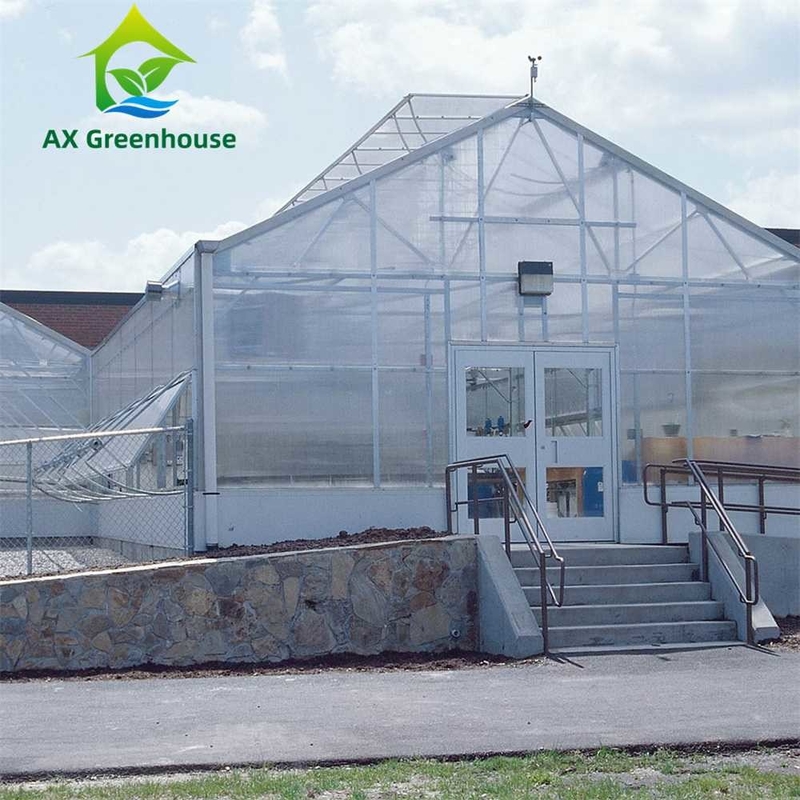 Cultiver des plantes Serre en feuille PC en polycarbonate à longue portée avec structure stable et assemblage facile