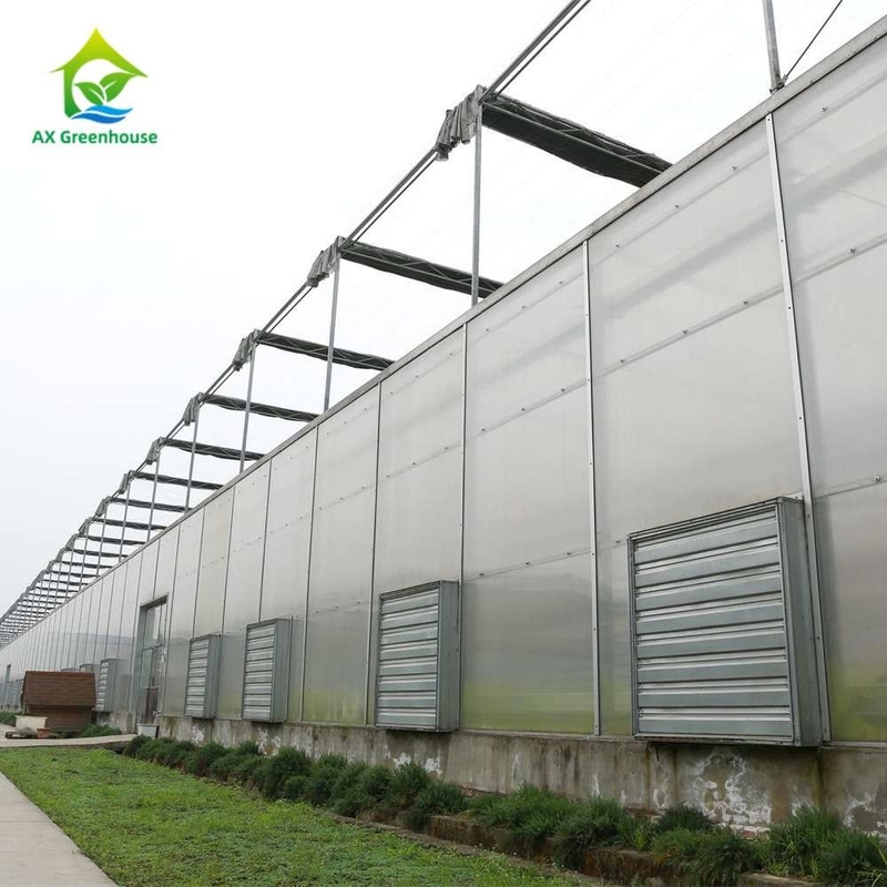 Cultiver des plantes Serre en feuille PC en polycarbonate à longue portée avec structure stable et assemblage facile
