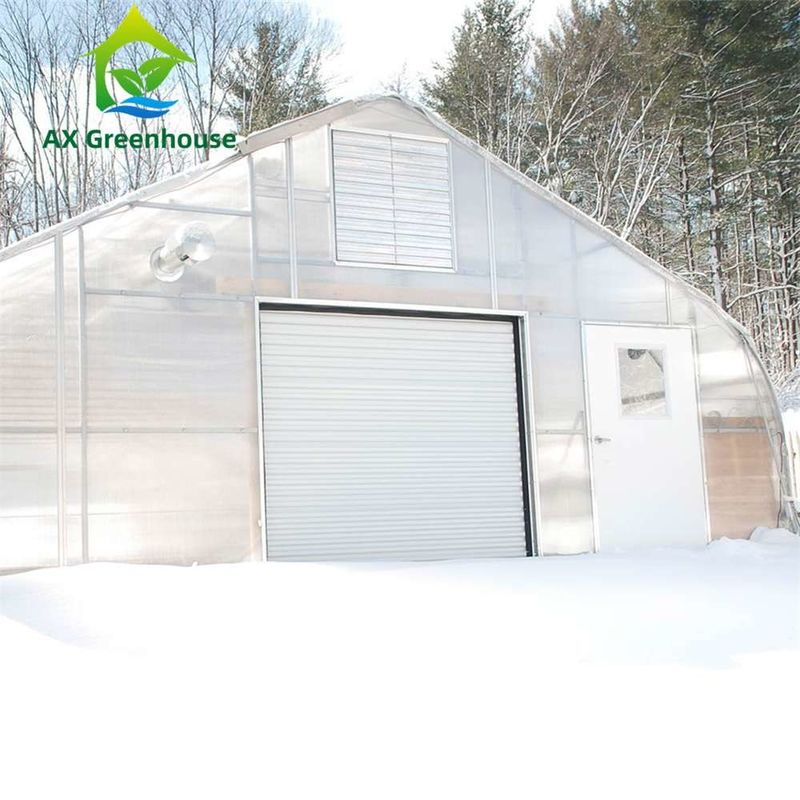 Serre à feuille de PC transparente facilement assemblée avec taille personnalisable et cadre en acier galvanisé à chaud