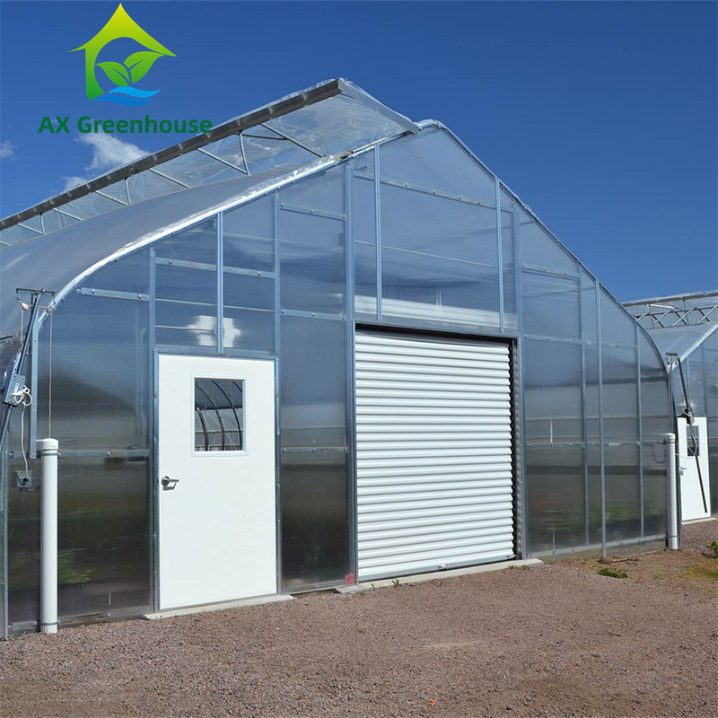 Serre en polycarbonate multi-parois à travée unique polyvalente, idéale pour les légumes, les semis, les fleurs et l'agriculture de jardin.