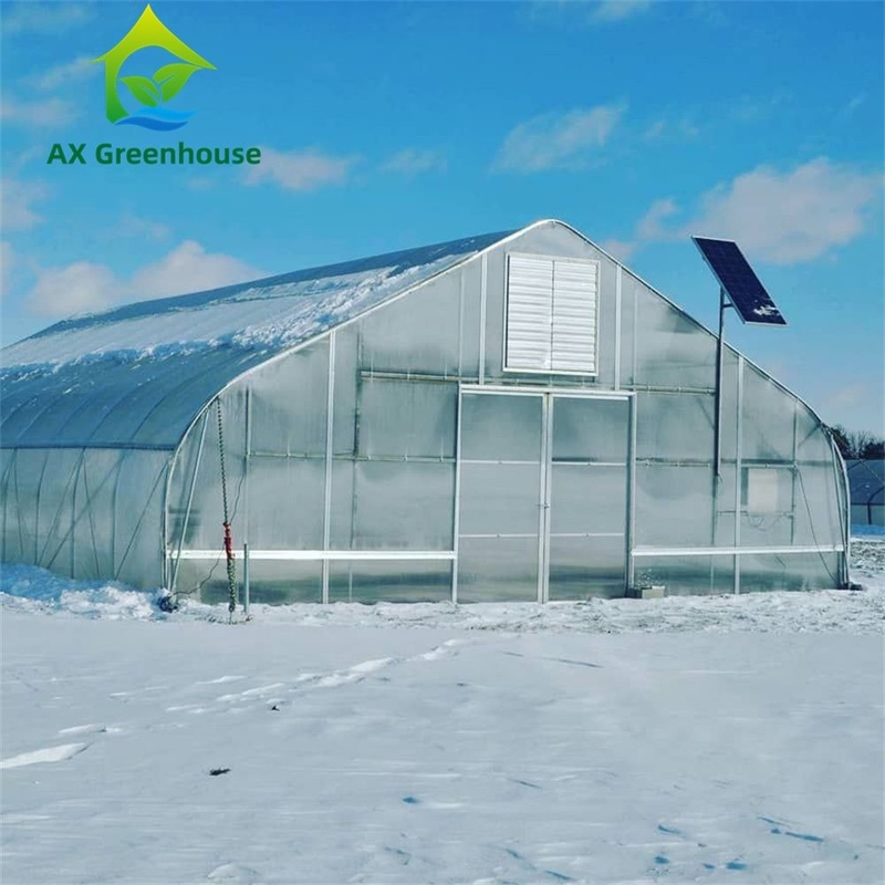 Serre en polycarbonate multi-parois à travée unique polyvalente, idéale pour les légumes, les semis, les fleurs et l'agriculture de jardin.