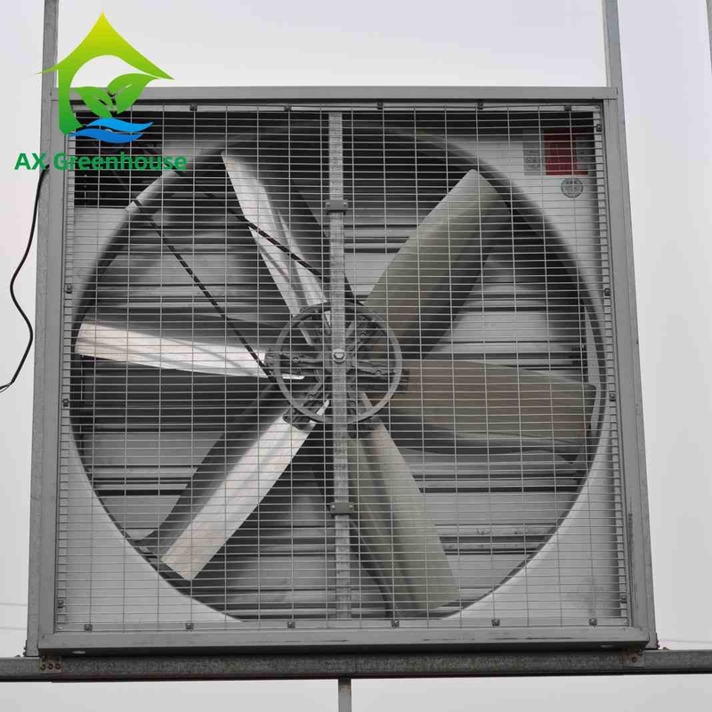 Ventilateurs fixés au mur industriels humides de ventilateurs d'extraction de mur de lame du diamètre 500-1250mm