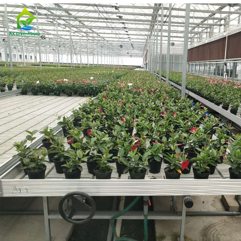 Tableau de culture de serre de taille personnalisée pour l' horticulture