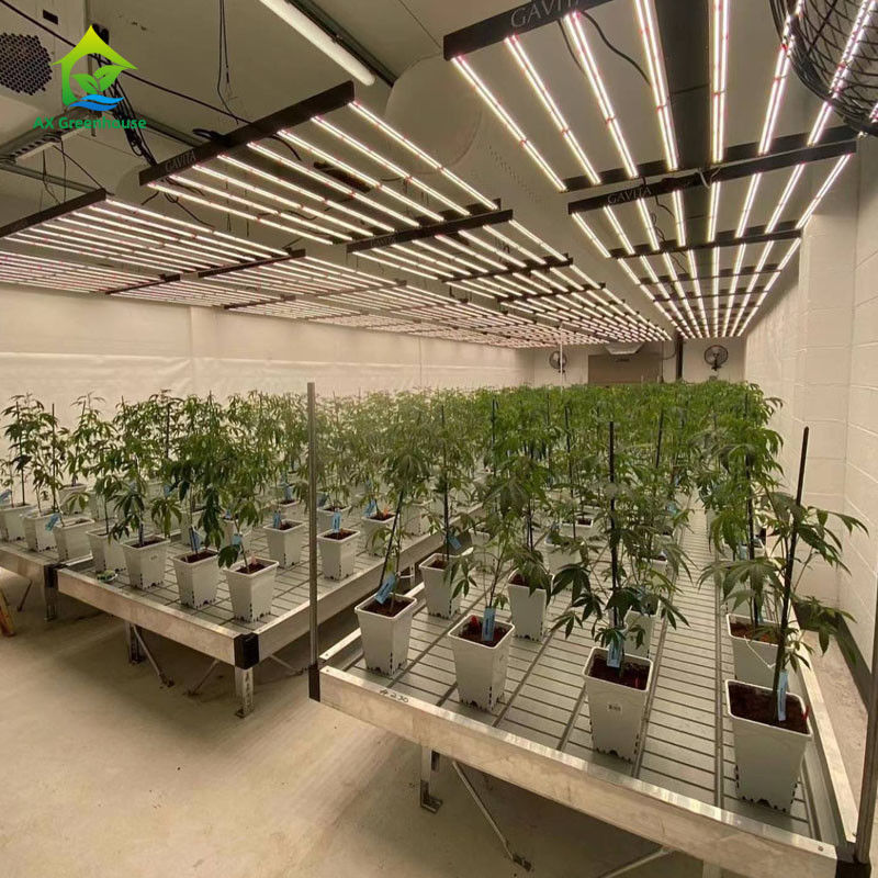 Bancs roulants de serre stables et écologiques avec feuille de plastique ABS et cadre en alliage d'aluminium, dimensions personnalisables