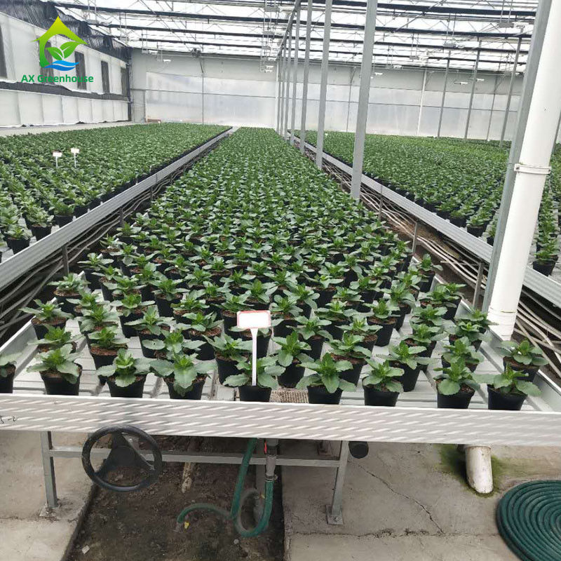 Bancs roulants de serre stables et écologiques avec feuille de plastique ABS et cadre en alliage d'aluminium, dimensions personnalisables