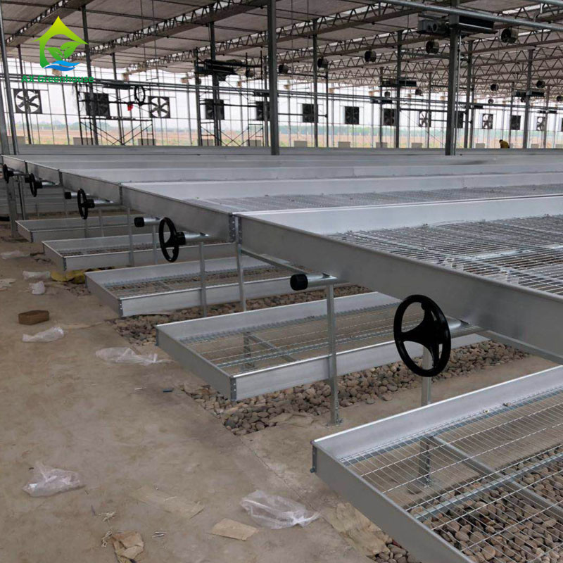 Agriculture Commercial Indoor Mesh Wire Serre Cultivation Table à rouleaux Pour les semis