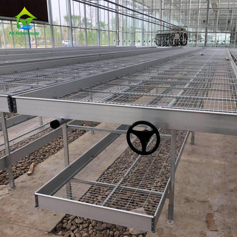 Agriculture Commercial Indoor Mesh Wire Serre Cultivation Table à rouleaux Pour les semis