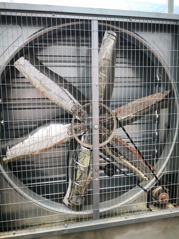 Ventilateurs d'échappement de serre en aluminium de qualité industrielle résistants à la corrosion pour le refroidissement par évaporation humide